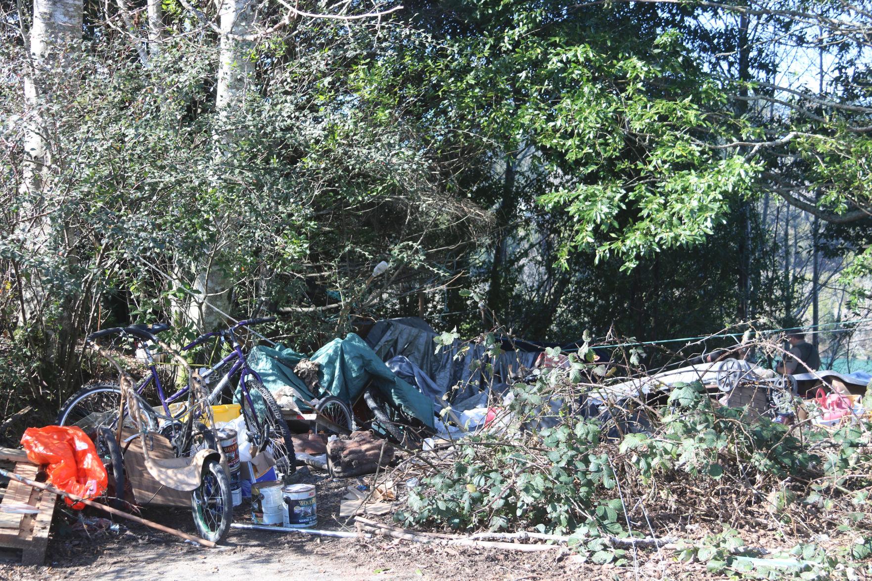 Camp Entrance